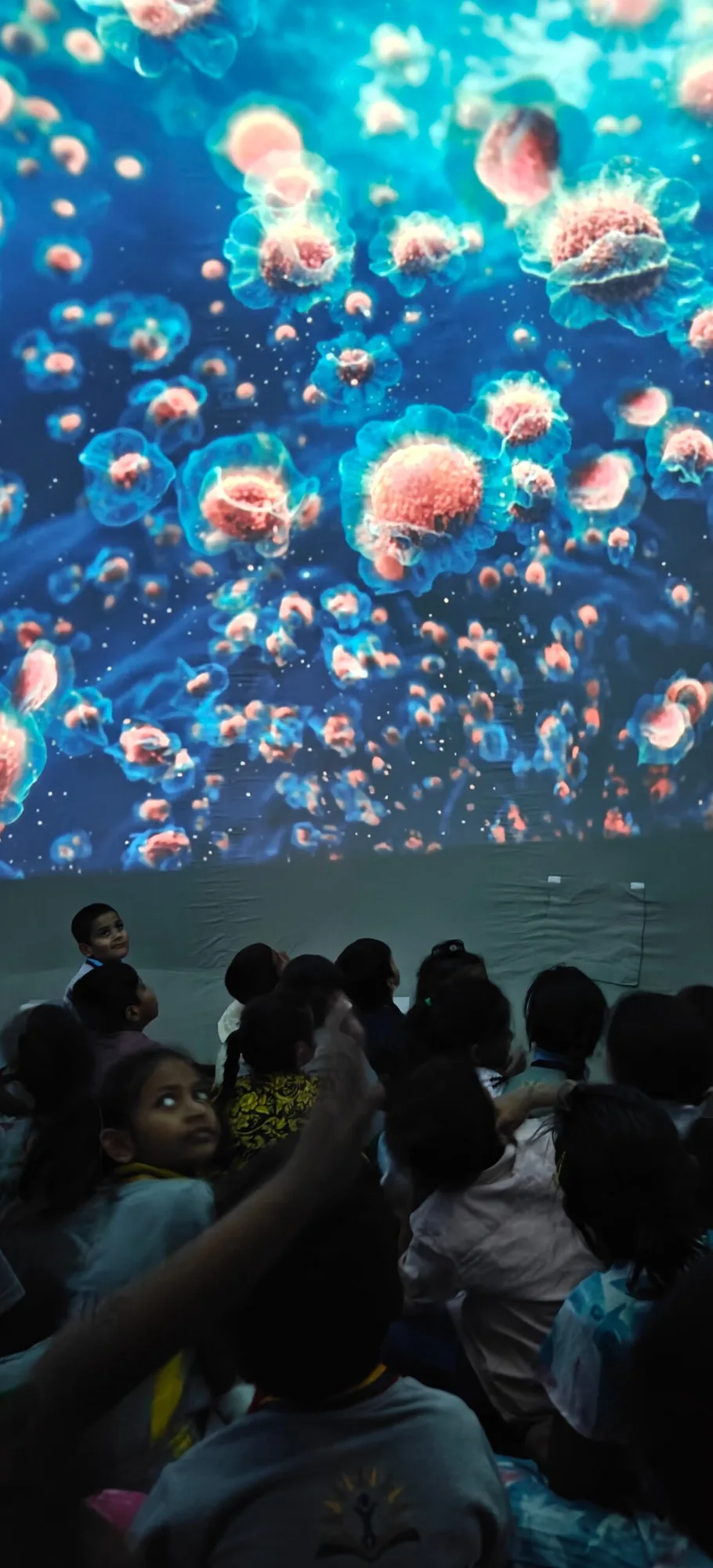 BN Reddy Gallery / Planetarium